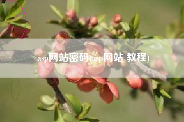 asp网站密码(asp网站 教程)