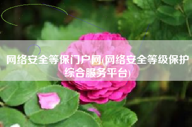 网络安全等保门户网(网络安全等级保护综合服务平台)