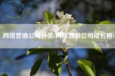 网络营销公司分类(网络营销公司排名榜)
