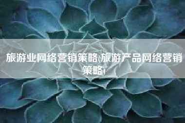 旅游业网络营销策略(旅游产品网络营销策略)