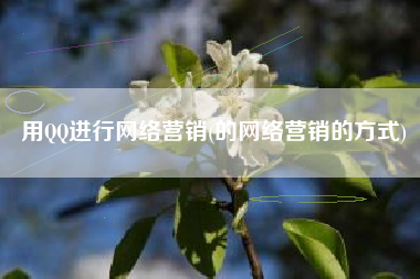 用QQ进行网络营销(的网络营销的方式)