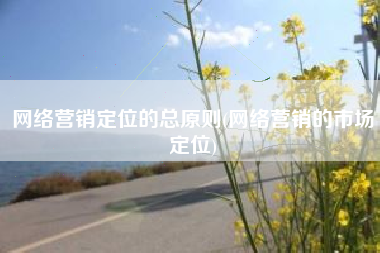 网络营销定位的总原则(网络营销的市场定位)