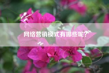 网络营销模式有哪些呢？