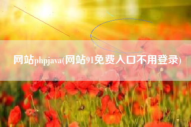 网站phpjava(网站91免费入口不用登录)