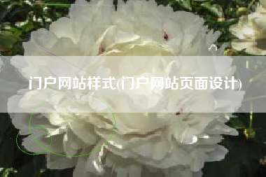 门户网站样式(门户网站页面设计)