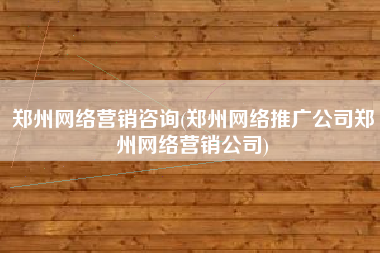 郑州网络营销咨询(郑州网络推广公司郑州网络营销公司)