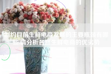 制约目前生鲜电商发展的主要瓶颈有哪些.请分析各路生鲜电商的优劣势