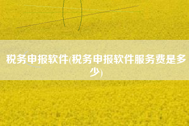 税务申报软件(税务申报软件服务费是多少)