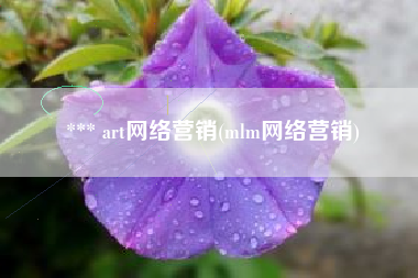 *** art网络营销(mlm网络营销)