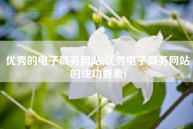 优秀的电子商务网站(优秀电子商务网站的成功要素)