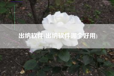 出纳软件(出纳软件哪个好用)
