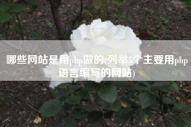 哪些网站是用php做的(列举5个主要用php语言编写的网站)