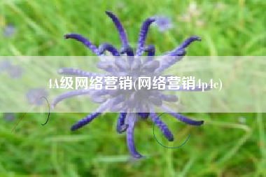 4A级网络营销(网络营销4p4c)