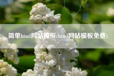 简单html网站模板(html网站模板免费)