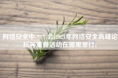 网络安全中 *** 会(2021年网络安全高峰论坛等重要活动在哪里举行)