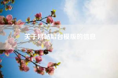 关于网站后台模版的信息