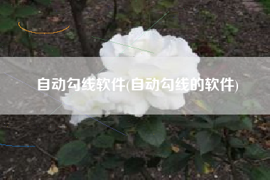 自动勾线软件(自动勾线的软件)