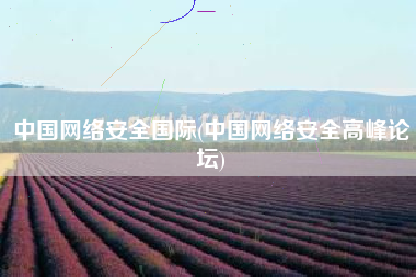 中国网络安全国际(中国网络安全高峰论坛)