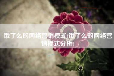 饿了么的网络营销模式(饿了么的网络营销模式分析)