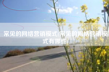 常见的网络营销模式(常见的网络营销模式有哪些)