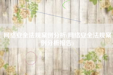 网络安全法规案例分析(网络安全法规案例分析报告)