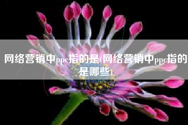 网络营销中ppc指的是(网络营销中ppc指的是哪些)