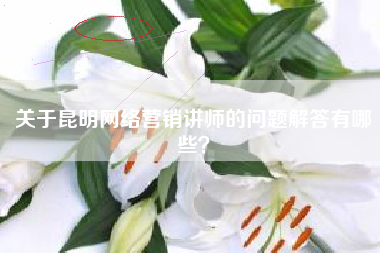 关于昆明网络营销讲师的问题解答有哪些？