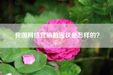我国网络营销的现状是怎样的？
