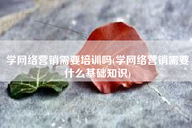 学网络营销需要培训吗(学网络营销需要什么基础知识)