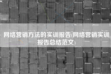 网络营销方法的实训报告(网络营销实训报告总结范文)