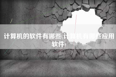 计算机的软件有哪些(计算机有哪些应用软件)