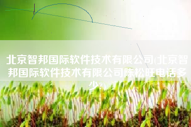 北京智邦国际软件技术有限公司(北京智邦国际软件技术有限公司陈松旺电话多少?)