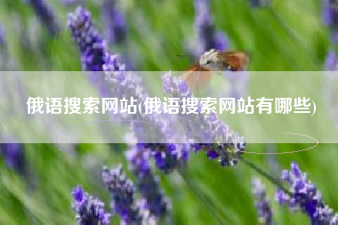 俄语搜索网站(俄语搜索网站有哪些)
