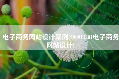 电子商务网站设计案例(299914301电子商务网站设计)