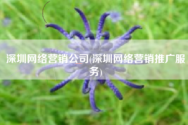 深圳网络营销公司(深圳网络营销推广服务)