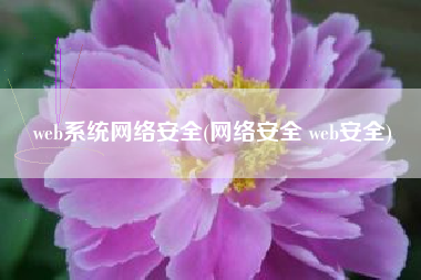 web系统网络安全(网络安全 web安全)