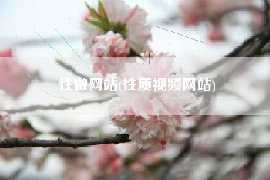 性做网站(性质视频网站)