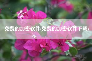 免费的加密软件(免费的加密软件下载)