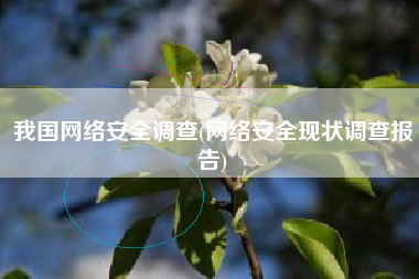 我国网络安全调查(网络安全现状调查报告)