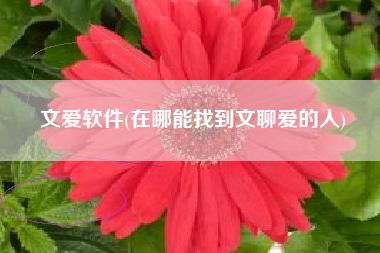 文爱软件(在哪能找到文聊爱的人)