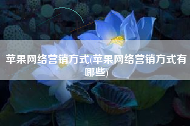 苹果网络营销方式(苹果网络营销方式有哪些)