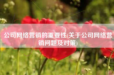 公司网络营销的重要性(关于公司网络营销问题及对策)