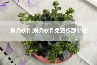 财务软件(财务软件免费版哪个好)