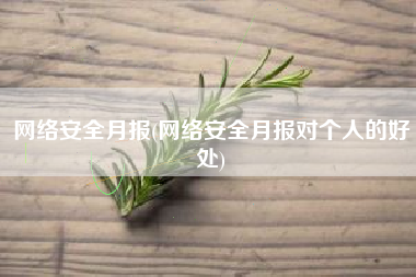 网络安全月报(网络安全月报对个人的好处)