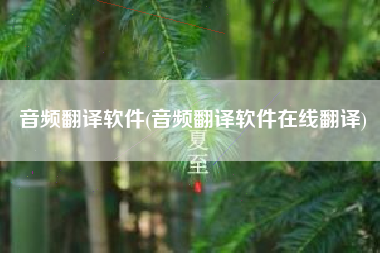 音频翻译软件(音频翻译软件在线翻译)