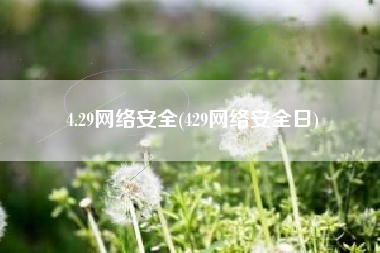 4.29网络安全(429网络安全日)