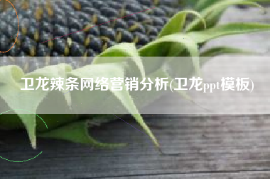 卫龙辣条网络营销分析(卫龙ppt模板)