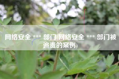 网络安全 *** 部门(网络安全 *** 部门被追责的案例)
