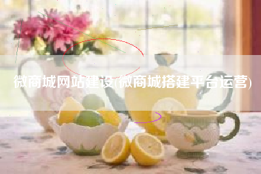 微商城网站建设(微商城搭建平台运营)