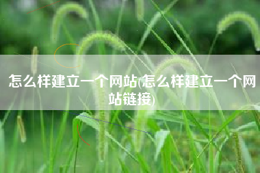 怎么样建立一个网站(怎么样建立一个网站链接)